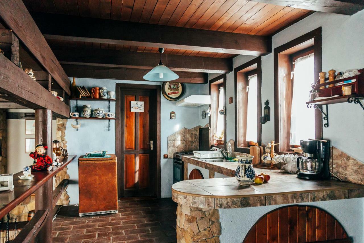 מויצ'ו דה סוס Drumul Carului Villa מראה חיצוני תמונה
